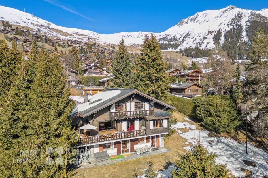 Chalet familial proche des pistes