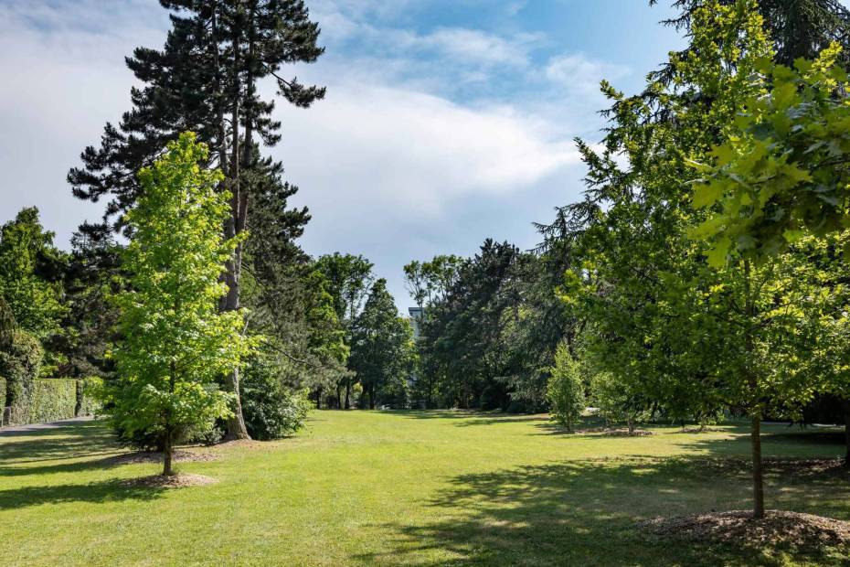 Attique de 221 m² avec vue sur le Salève et le Mont-Blanc