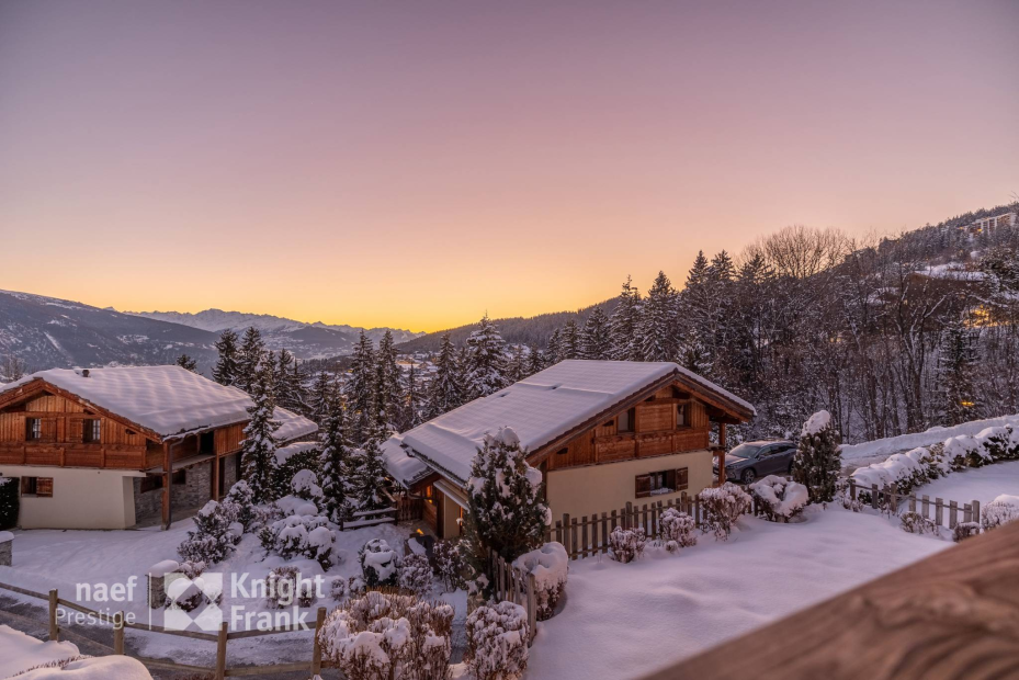 Chalet Renard Blanc