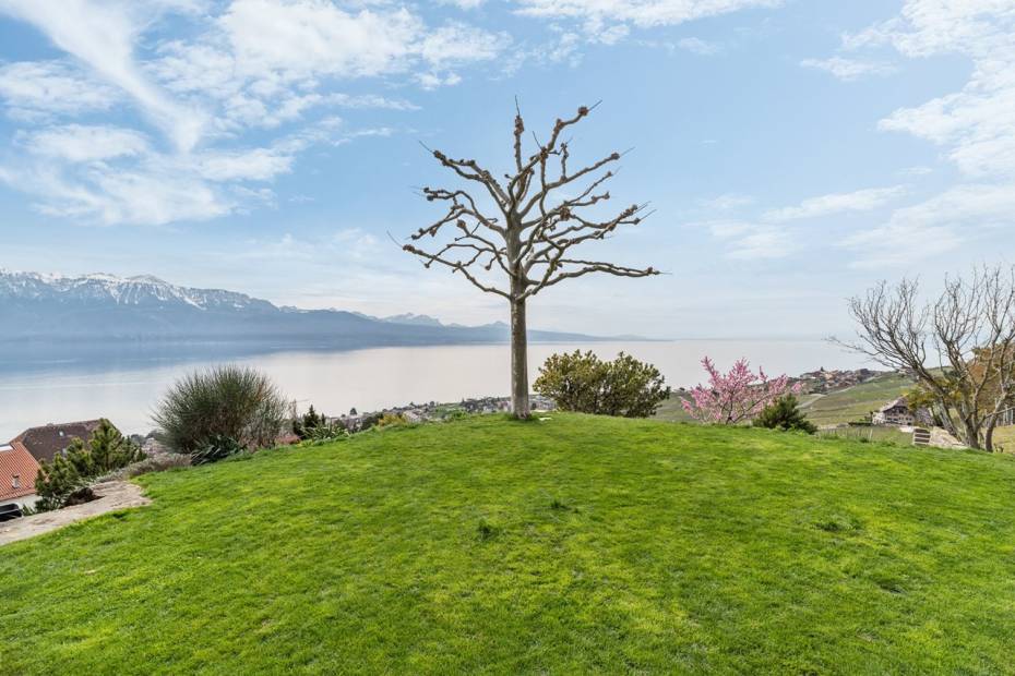 Spacieuse villa d’env. 350 m2 avec vue panoramique sur le lac et les Alpes