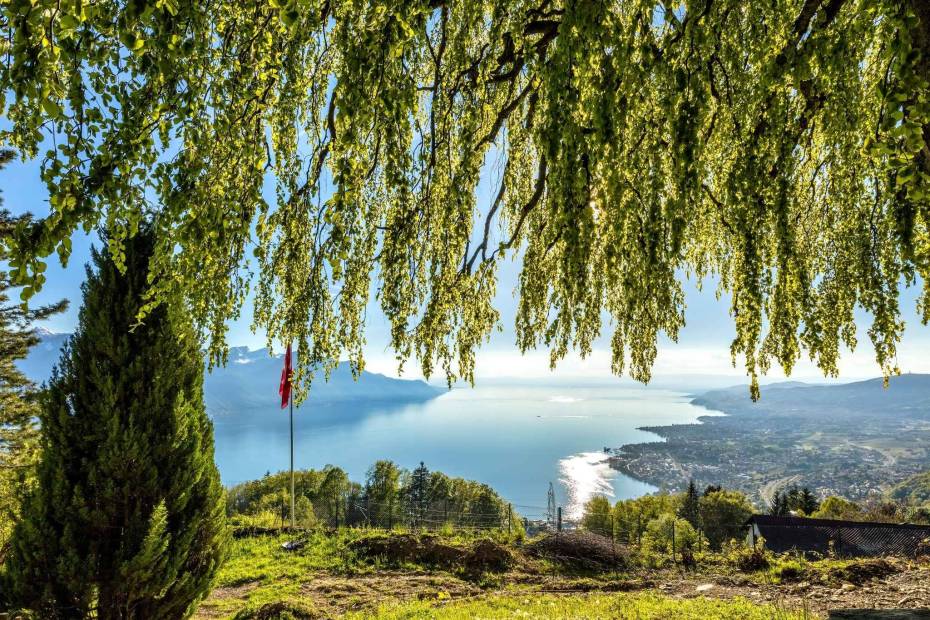 Splendide et improbable demeure de 10 pièces avec une vue imprenable à vendre à Montreux