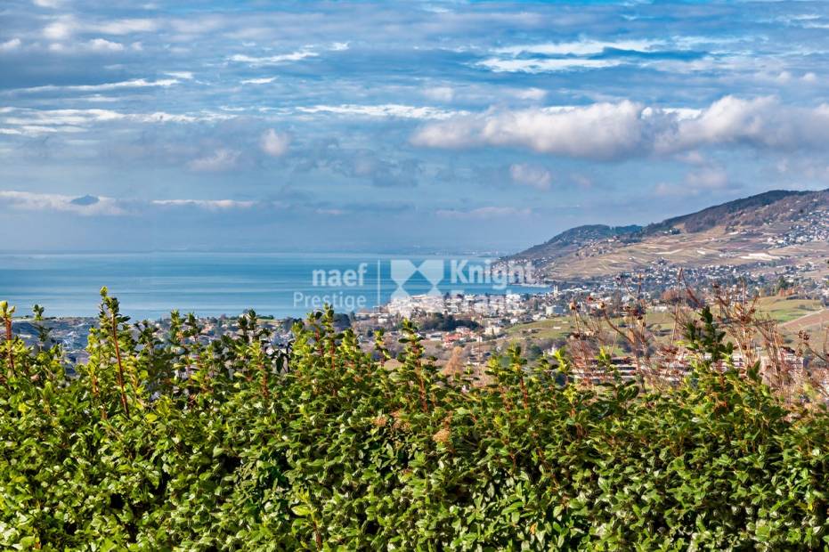 Maison d’architecte de 3 logements avec piscine extérieure à vendre à Chernex / Montreux